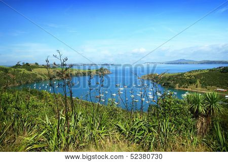 Harbour of Waiheke island, New Zealand