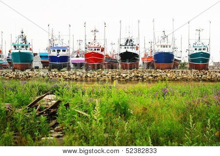 View of seven colored and fishing boats at the marina