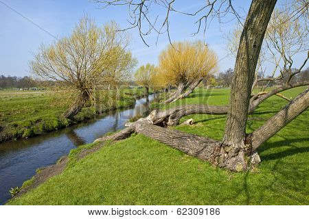 Richmond Park In London