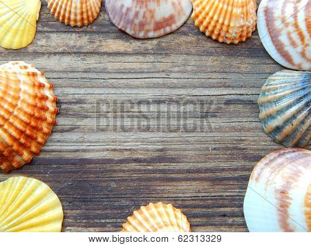 Frame of seashells on a wooden background