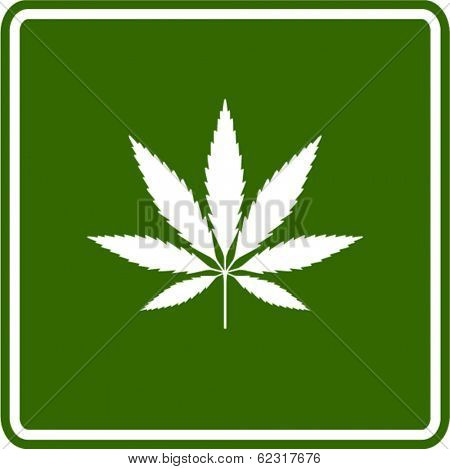 cannabis or marijuana leaf sign