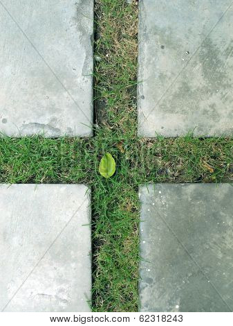 Cross On The Yard