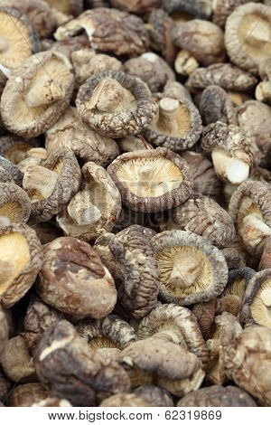 Dried Shiitake Mushrooms