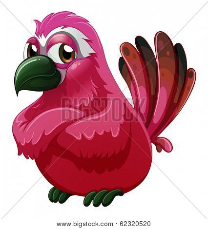 Illustration of a big bird on a white background