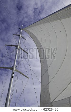 Main Sail