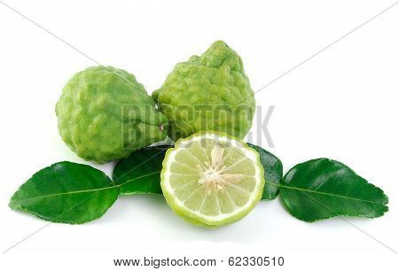 Kaffir Lime On White Background