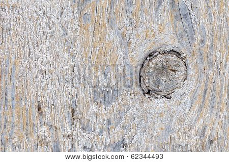 Old Worn Plank Wall With Base Of A Branch