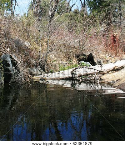 Doane Creek