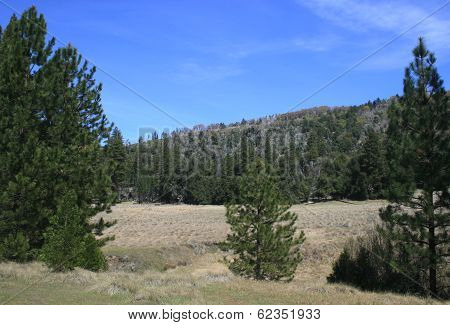 Lower French Valley