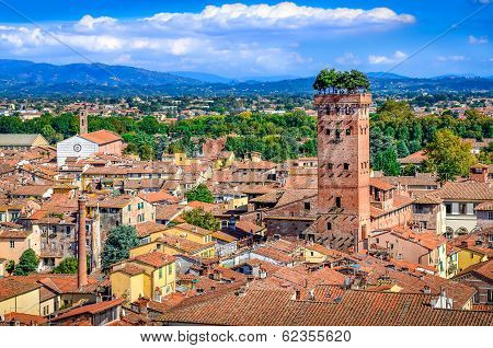Scenic View Of Lucca And Guinigi Tower