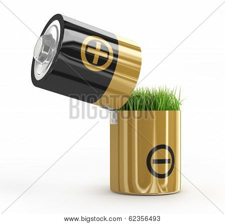 battery and a grass