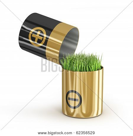 battery and a grass