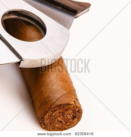 Cigar And Cutter On A White Background