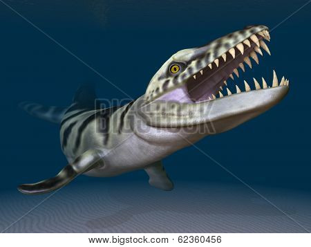 Dakosaurus