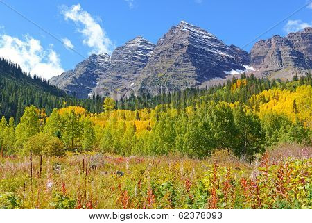 Fall Foliage and the Maroon Bells, Rocky Mountains Colorado