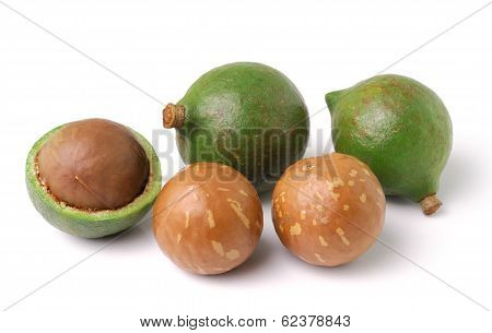 Macadamia Nuts On White Background
