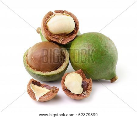 Macadamia Nuts On White Background