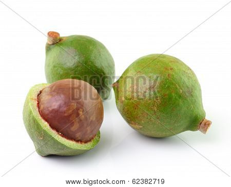 Macadamia Nuts On White Background