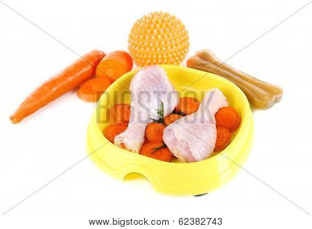 Natural food for pets in plastic bowl isolated on white