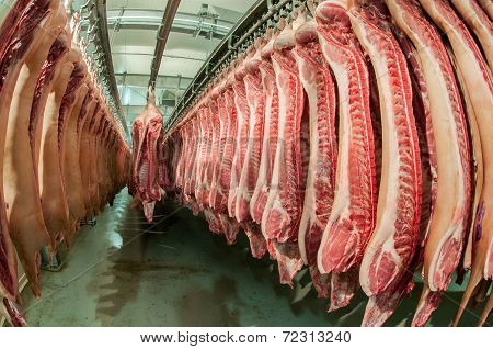Fresh Meat In A Cold Cut Factory