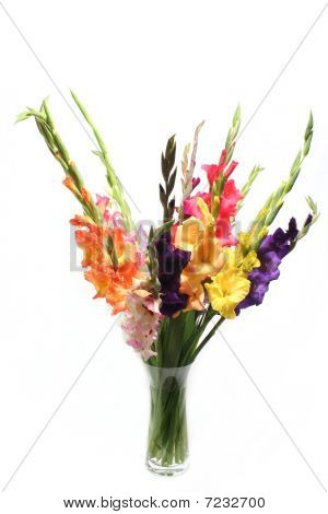 Fiori