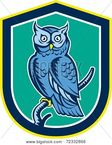 Great Horned Owl On Branch Shield Retro