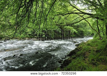 River Dart