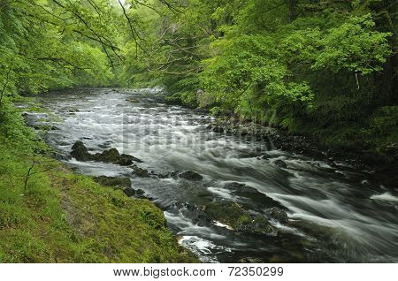 River Dart
