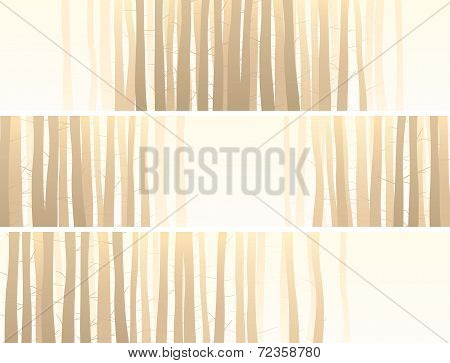 Horizontal Banner With Many Tree Trunks.