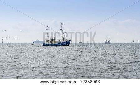 Fishing Boats Trawling