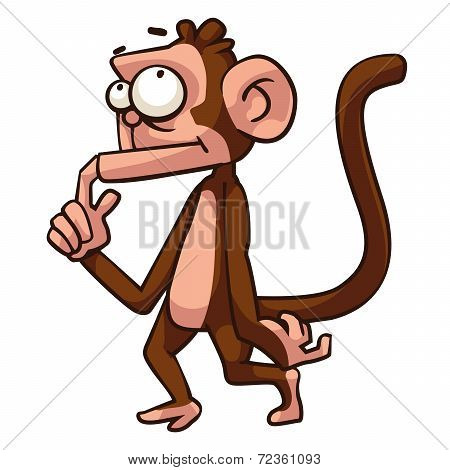 Monkey
