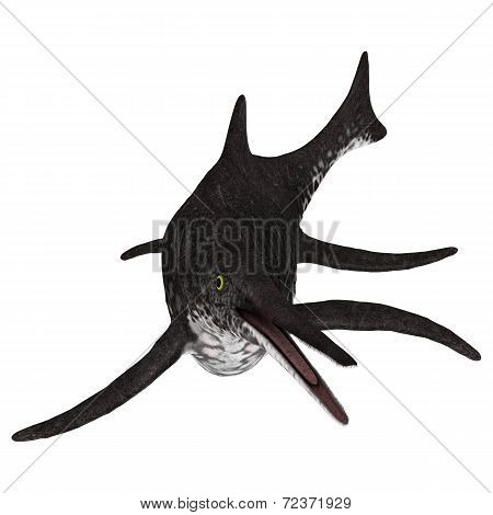 Ichthyosaur Shonisaurus