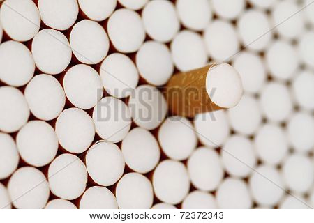 Filter Cigarettes