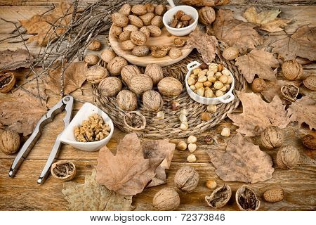 Autumn Nuts