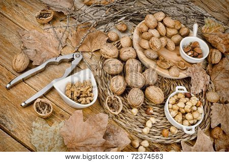 Autumn Nuts