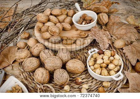 Autumn Nuts