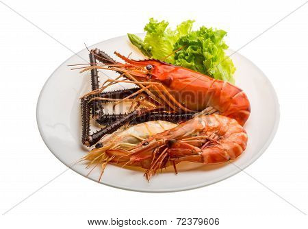 Giant Freshwater Prawn And King Prawns