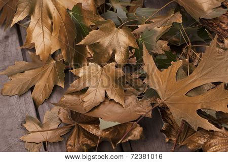 Background group autumn gold leaves