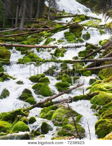 Karst Springs