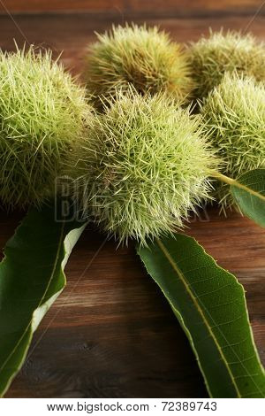 Chestnuts
