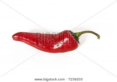 Hot red pepper isolated on white