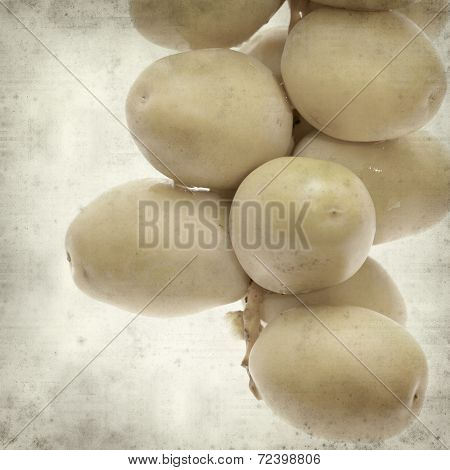 Textured Old Paper Background