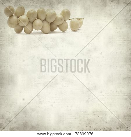 Textured Old Paper Background