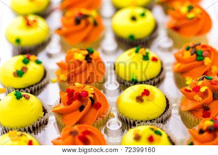 Miniature Cupcakes