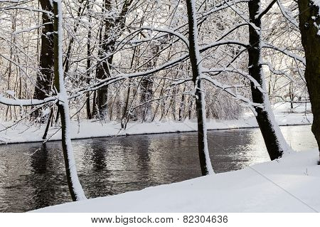 Winter Landscape Forest Snow River Water