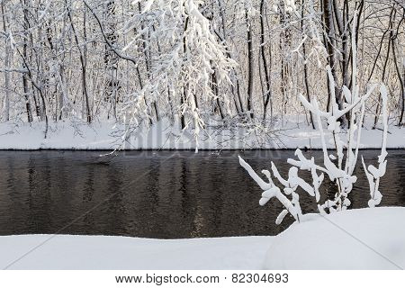 Winter Landscape Forest Snow River Water