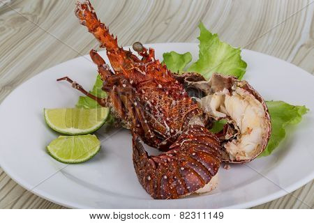 Spiny Lobster