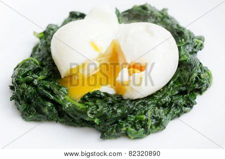Boiled egg on a bed of spinach, an Italian recipe uova mollette agli spinaci.