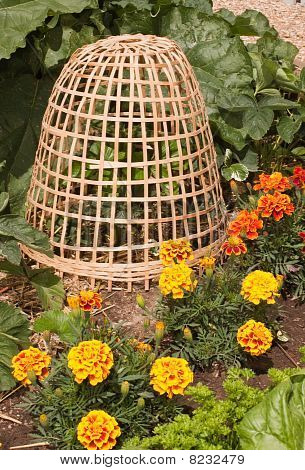 Plante beskyttere portræt