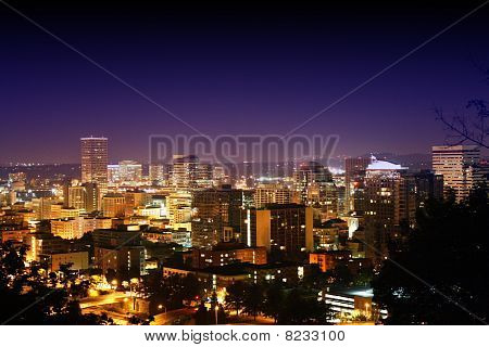 Portland Downtown (West Hills vista)